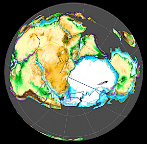 I Ciclidi le specie Cichlidae dal Gondwana ai nostri acquari