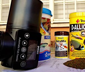 Con cosa mangiano i pesci, il mangime distribuito con la mangiatoia automatica