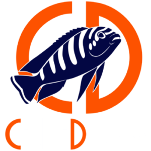 Cichlidream, Una passione da sogno