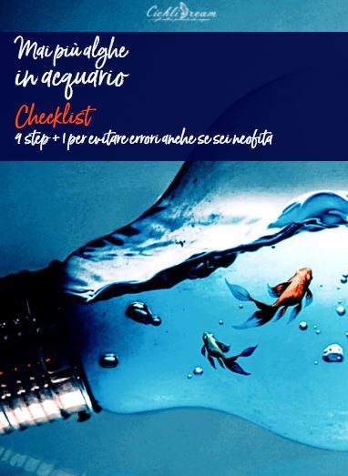 Come eliminare le alghe in acquario
