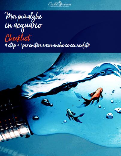 Mai più alghe in acquario