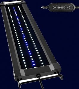 Lampada Nicrew per illuminare acquari di Ciclidi africani Mbuna del Malawi con piante
