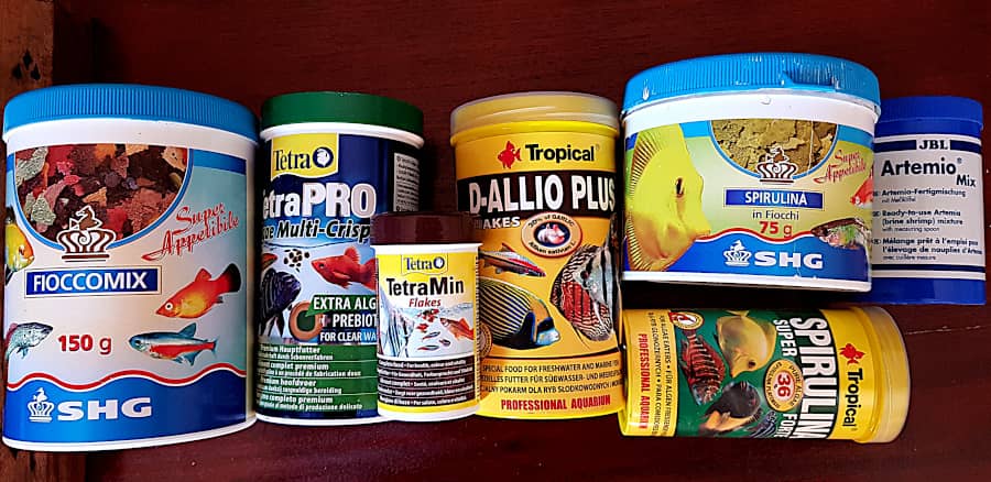 Come fare crescere le riproduzioni dei pesci