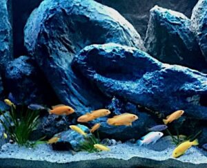 Rocce in resina per un acquario d'acqua dolce di Mbuna