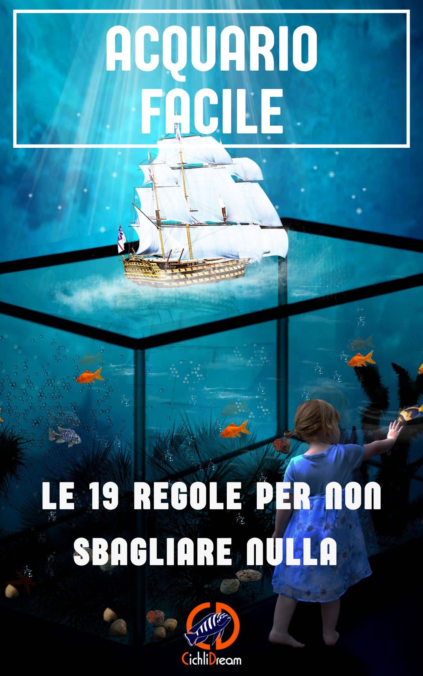 La guida per acquario casalingo per principianti
