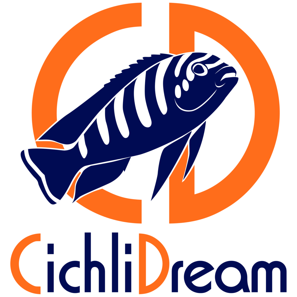 Logo Cichlidream