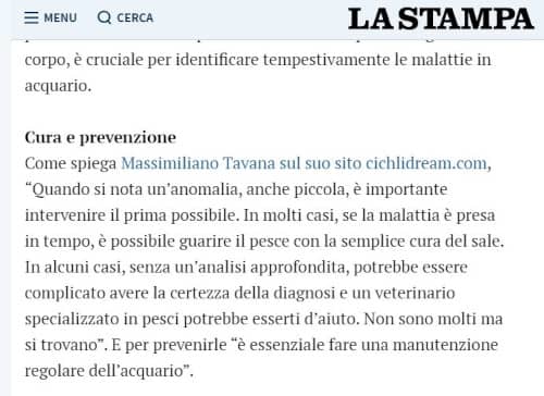 Massimiliano Tavana Cichlidream La Stampa