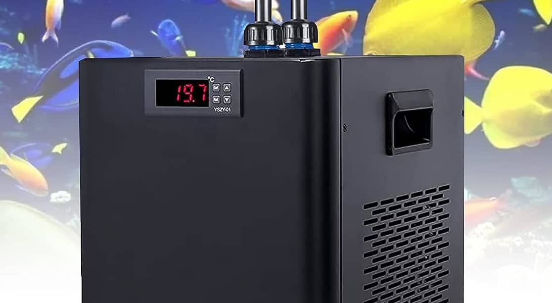 Refrigeratore acquario