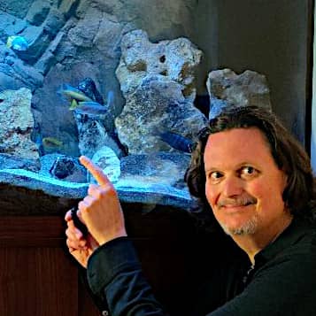 Massimiliano Tavana Cichlidream Ciclidi Africani Malawi