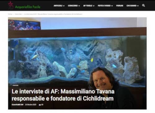 Intervista Massimiliano Tavana Cichlidream
