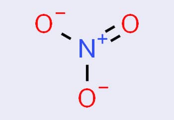 Composizione chimica dei nitrati in acquario