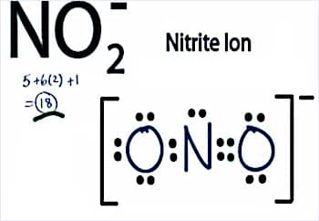 Maturazione dell'acquario: composizione chimica dei nitriti in acquario