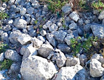 Rocce di cava per acquario con pesce Malawi