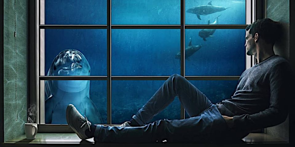 Il relax quando non si ha l'acqua torbida in acquario